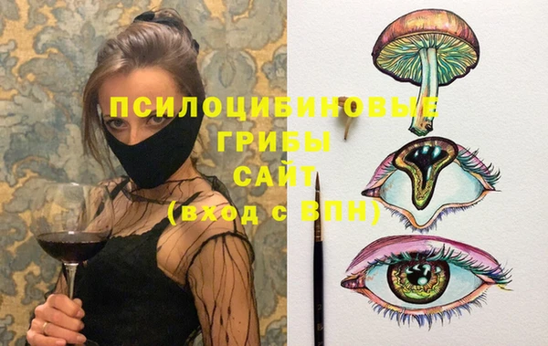 гидропоника Магас