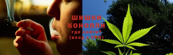 прущие грибы Майский