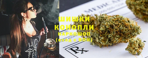 прущие грибы Майский