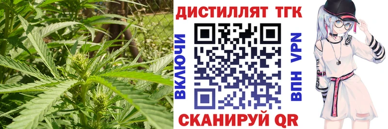 Дистиллят ТГК концентрат Гдов