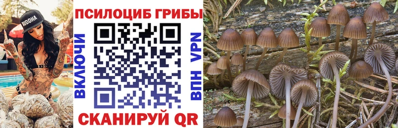 Галлюциногенные грибы ЛСД  omg вход  Гдов 